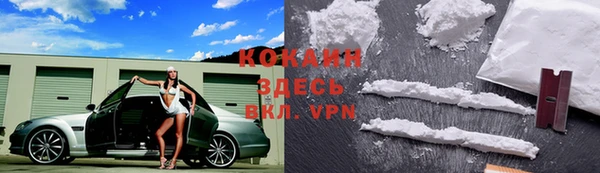 спиды Шадринск