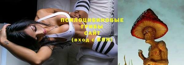 стафф Шарыпово