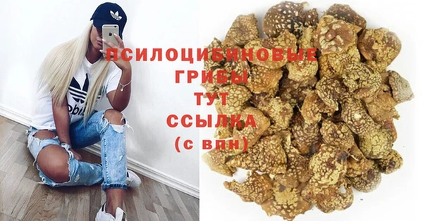 спиды Шадринск