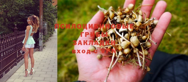 стафф Шарыпово
