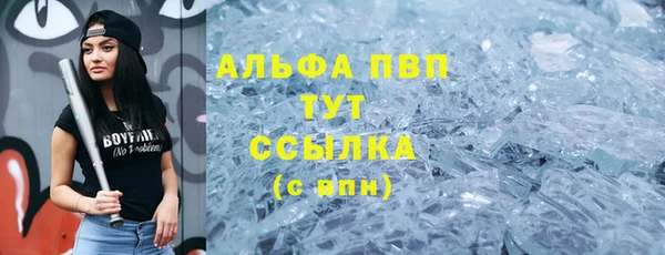 спиды Шадринск