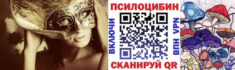 Купить где  Абаза  Галлюциногенные грибы ЛСД 